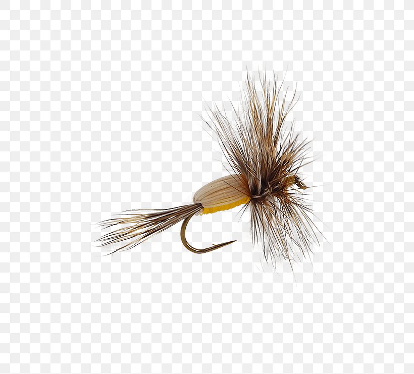 Fly Patterns Dave's Hopper Artificial Fly Fly Fishing Fly Tying, PNG, 555x741px, Artificial Fly, Baetis, Callibaetis, Fishing, Fishing Bait Download Free