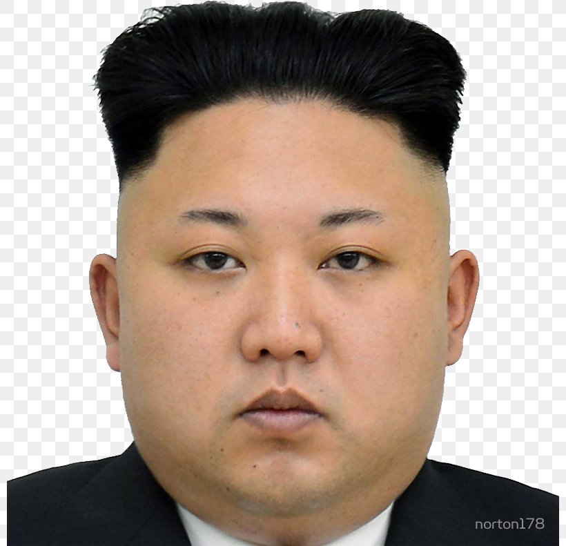 Kim Jong-un United States North Korea Death And State Funeral Of Kim Jong-il Workers' Party Of Korea, PNG, 800x791px, United States, Cheek, Chin, Ear, Eyebrow Download Free