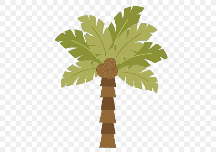 Palm Tree Background, PNG, 480x579px, Palm Trees, Arecales, Borassus Flabellifer, Flower, Flowering Plant Download Free