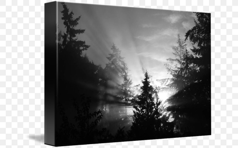 Picture Frames Gallery Wrap Light Canvas Desktop Wallpaper, PNG, 650x509px, Picture Frames, Art, Automotive Lighting, Black And White, Canvas Download Free