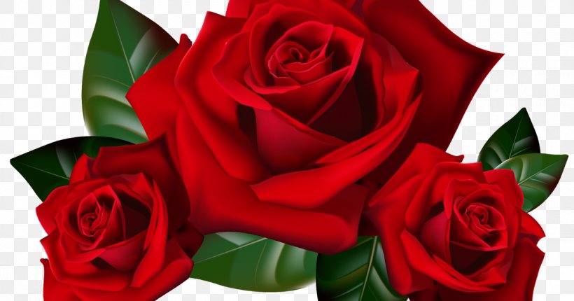 Rose Desktop Wallpaper Clip Art, PNG, 1200x630px, Rose, Art, Blue Rose, Close Up, Cut Flowers Download Free