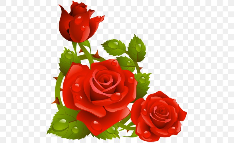 Rose Flower Clip Art, PNG, 500x500px, Rose, Black Rose, Cut Flowers, Floral Design, Floribunda Download Free