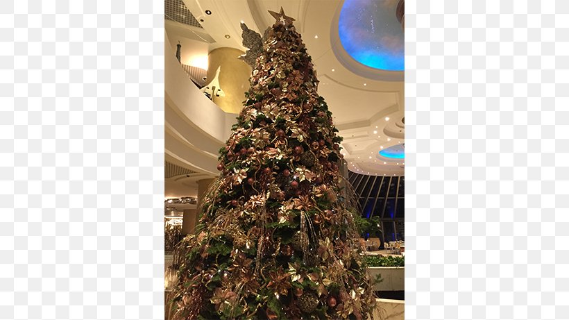 Christmas Tree Bukit Timah Spruce, PNG, 600x461px, Christmas Tree, Bukit Timah, Christmas, Christmas Decoration, Christmas Ornament Download Free