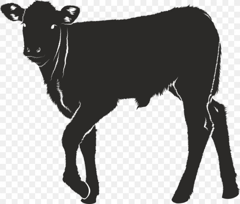 Calf Cattle Ox Clip Art, PNG, 847x720px, Calf, Black, Black And White, Bull, Cattle Download Free