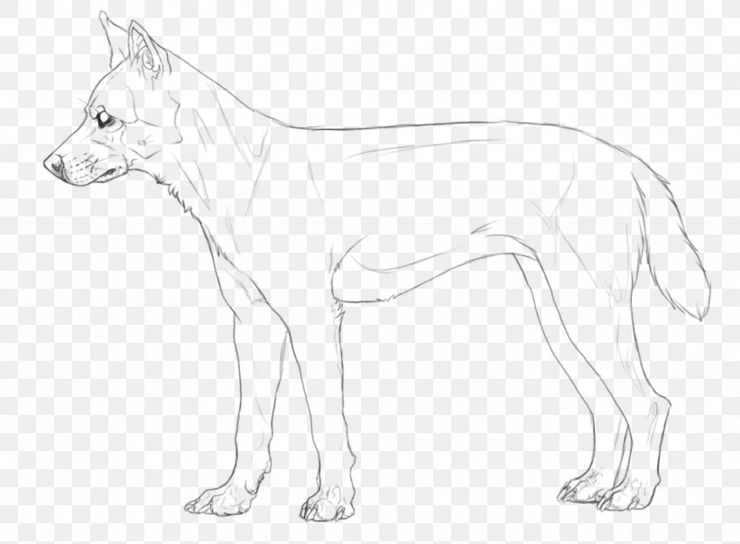 Dog Breed Line Art Drawing /m/02csf, PNG, 1024x754px, Dog Breed, Artwork, Black And White, Breed, Carnivoran Download Free