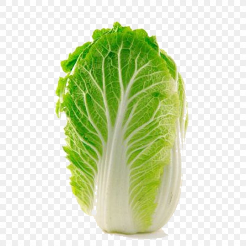Napa Cabbage Choy Sum Kohlrabi Chinese Cabbage, PNG, 1000x1000px, Napa Cabbage, Bok Choy, Brassica Oleracea, Brassica Rapa, Cabbage Download Free