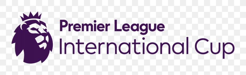Premier League Football In The Community Accrington Stanley F.C. Blackpool F.C. Sport, PNG, 1024x315px, Premier League, Accrington Stanley Fc, Blackpool Fc, Brand, Cambridge United Fc Download Free