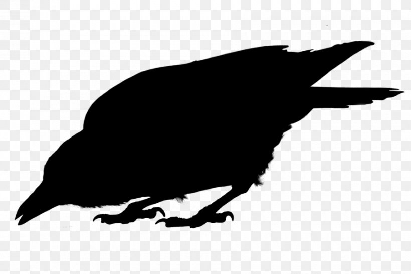 American Crow Common Raven Fauna Silhouette, PNG, 900x600px, American Crow, Beak, Bird, Blackandwhite, Common Raven Download Free