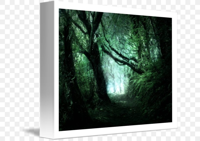 Forest Picture Frames Stock Photography Tree Green, PNG, 650x579px, Forest, Green, Painting, Photography, Picture Frame Download Free