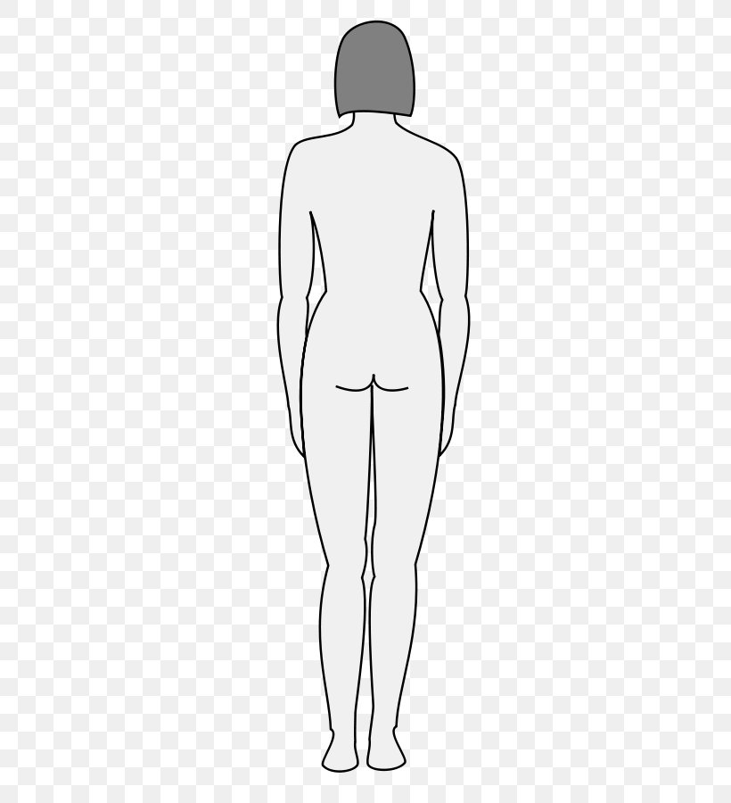 Human Body Female Body Shape Silhouette Clip Art, PNG, 350x900px, Watercolor, Cartoon, Flower, Frame, Heart Download Free
