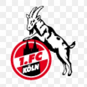 Football - 1. FC KÃ¶ln Bundesliga Cologne SC Fortuna KÃ¶ln FC Viktoria KÃ¶ln PNG