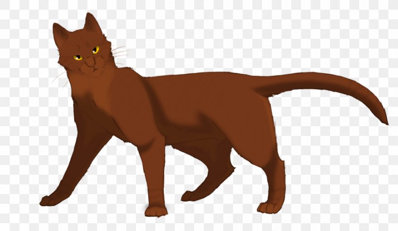 Cat - Cat Warriors Erin Hunter Moonrise The Darkest Hour PNG