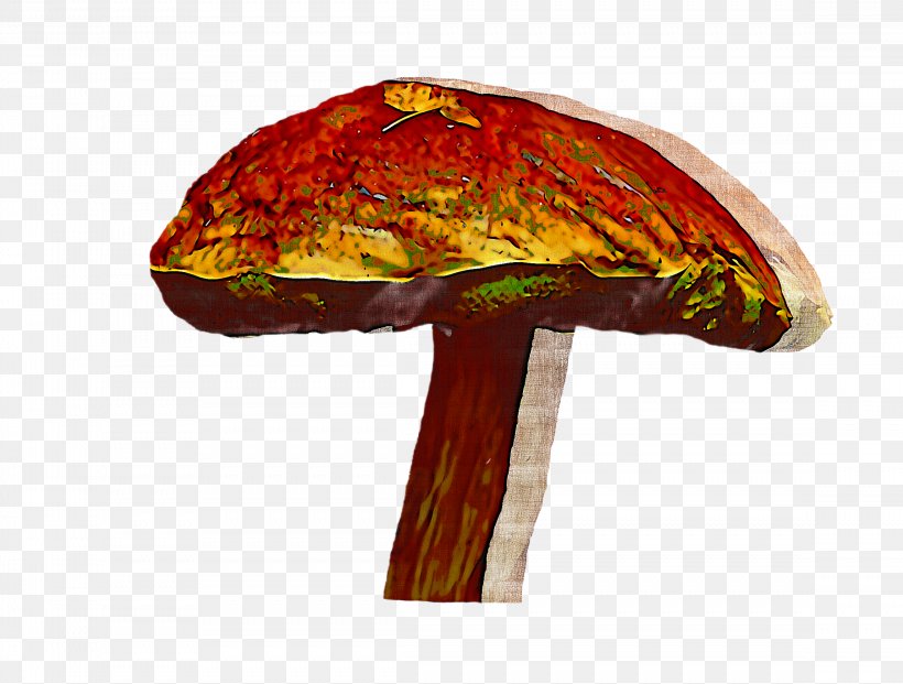 Orange, PNG, 2296x1740px, Mushroom, Bolete, Cap, Medicinal Mushroom, Orange Download Free