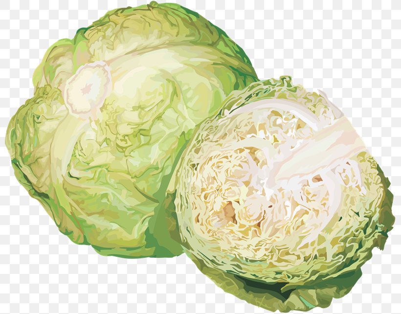 Savoy Cabbage Cauliflower Vegetable, PNG, 800x642px, Cabbage, Broccoli, Brussels Sprouts, Cauliflower, Cruciferous Vegetables Download Free