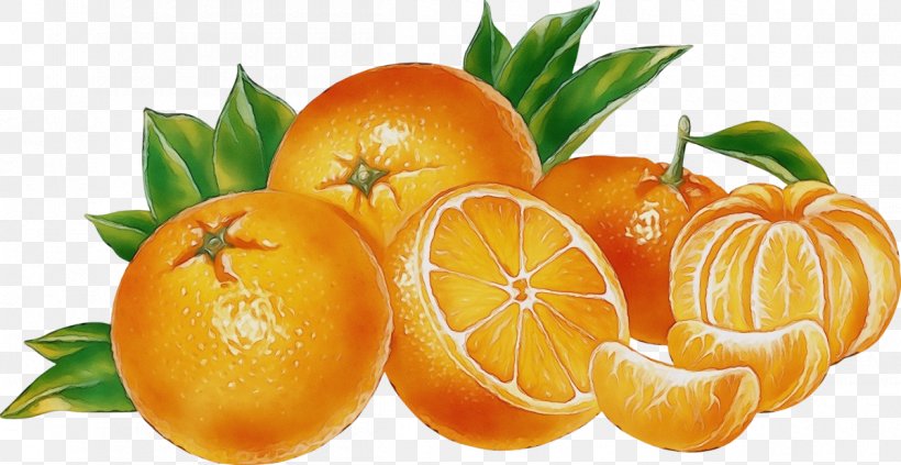 Watercolor Natural, PNG, 1200x620px, Watercolor, Bitter Orange, Calamondin, Citric Acid, Citrus Download Free