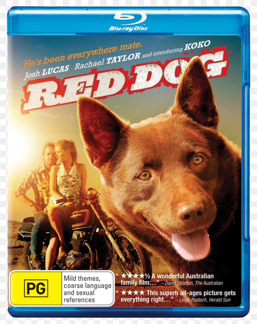 Australian Kelpie Red Dog Koko Comedy-drama, PNG, 938x1181px, Australian Kelpie, Advertising, Australia, Comedydrama, Dog Download Free