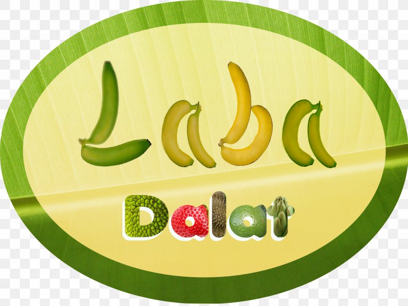 Banaani Dole Food Company Musa Balbisiana Logo Disease, PNG, 1920x1440px, Banaani, Brand, Business, Disease, Dog Download Free