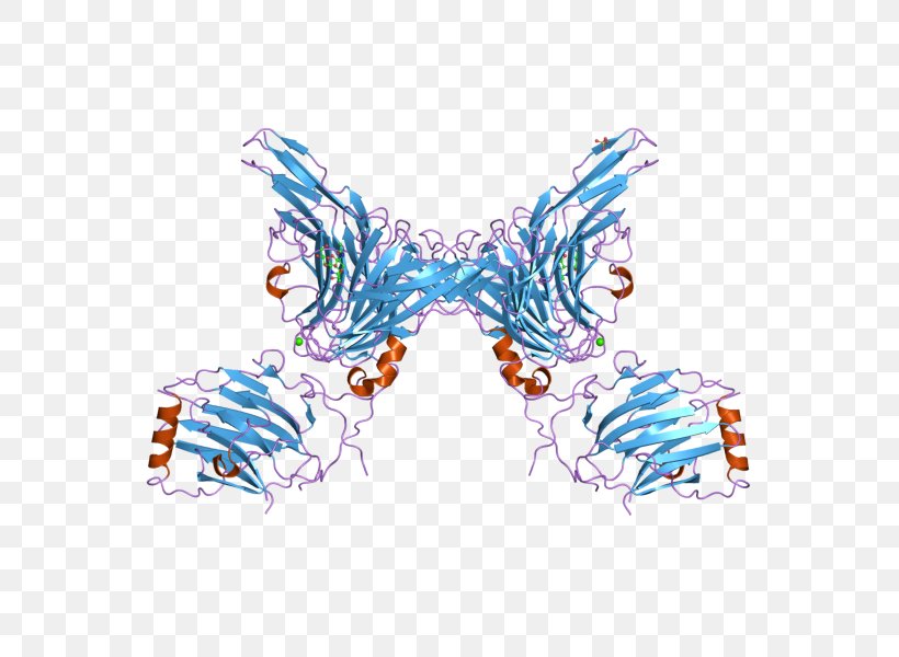 Butterfly GAS6 AXL Receptor Tyrosine Kinase, PNG, 800x600px, Butterfly, Axl Receptor Tyrosine Kinase, Blue, Enzyme, Gene Download Free