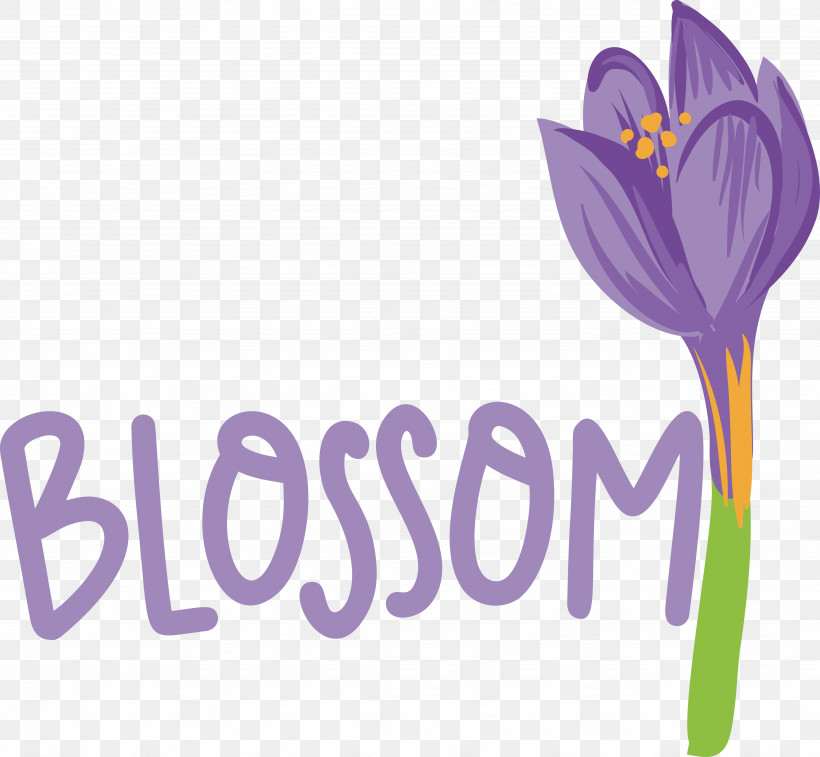 Lavender, PNG, 4912x4538px, Flower, Biology, Crocus, Lavender, Logo Download Free