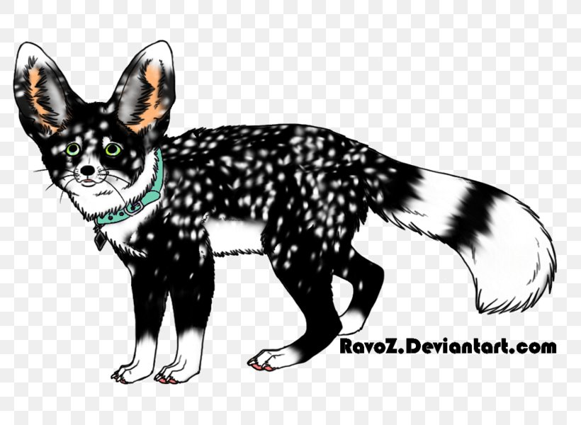 Marten Dog Cat Canidae Fox, PNG, 800x600px, Marten, Canidae, Carnivora, Carnivoran, Cat Download Free