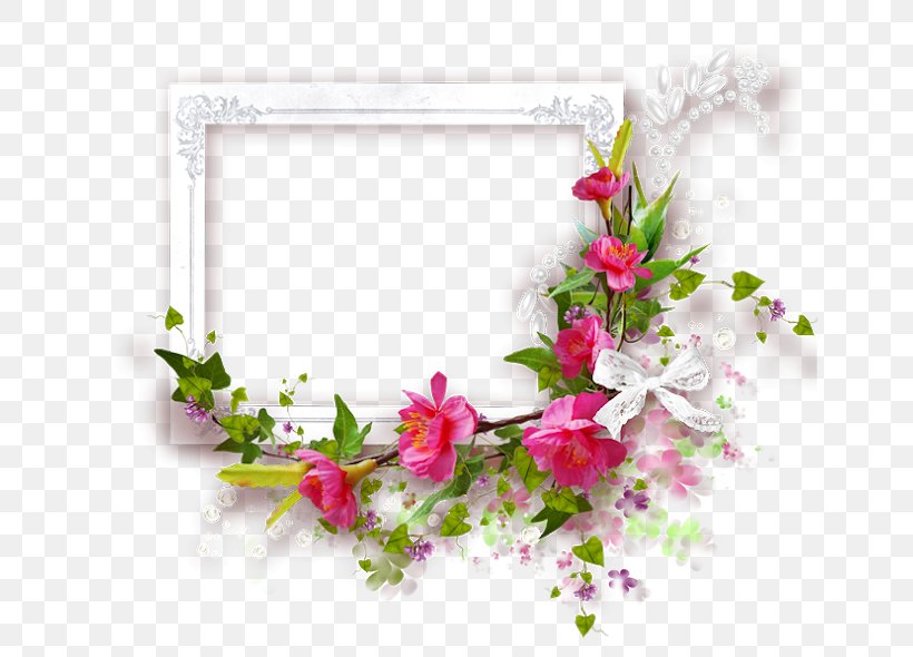 Picture Frames Photography Blog, PNG, 740x590px, 8 March, Picture Frames, Artificial Flower, Blog, Blossom Download Free