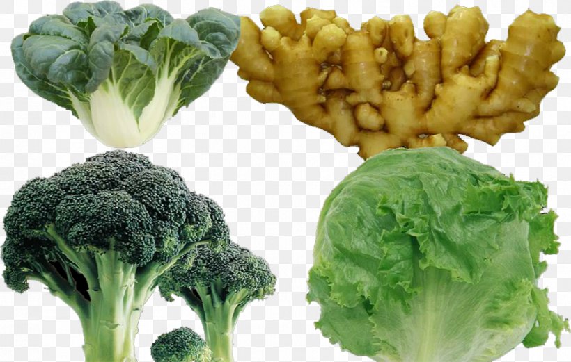 Broccoli Cauliflower Cabbage Vegetarian Cuisine Spring Greens, PNG, 907x577px, Broccoli, Brassica Oleracea, Cabbage, Cauliflower, Collard Greens Download Free