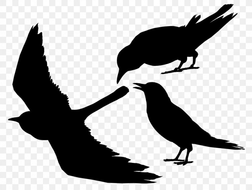 Clip Art Fauna Silhouette Beak, PNG, 1024x773px, Fauna, Art, Beak, Bird, Blackandwhite Download Free