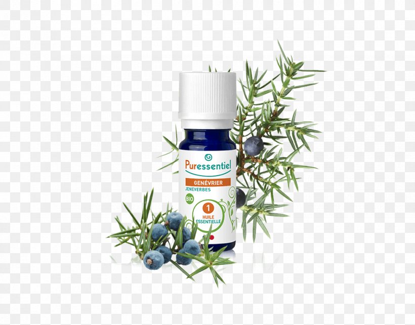 Essential Oil Myrcene Chemotype Herb, PNG, 970x760px, Essential Oil, Chemotype, Common Juniper, Cypress, Health Download Free