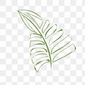 Leaf Illustration Graphics Design Image PNG