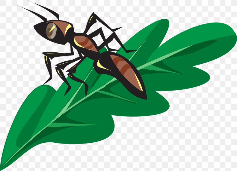 Clip Art Ant Insect Openclipart, PNG, 1280x923px, Ant, Fly, Insect, Invertebrate, Leaf Download Free