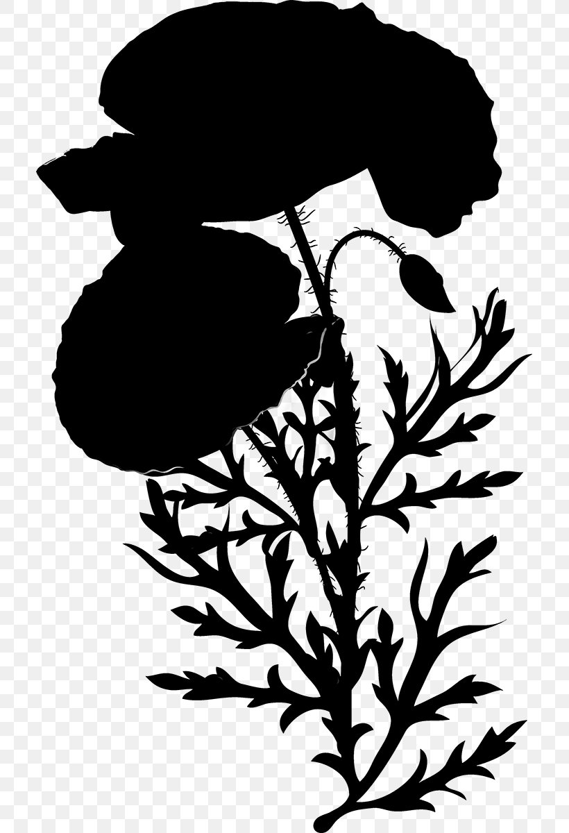 Clip Art Flower Leaf Plant Stem Pattern, PNG, 715x1200px, Flower, Blackandwhite, Botany, Branch, Branching Download Free