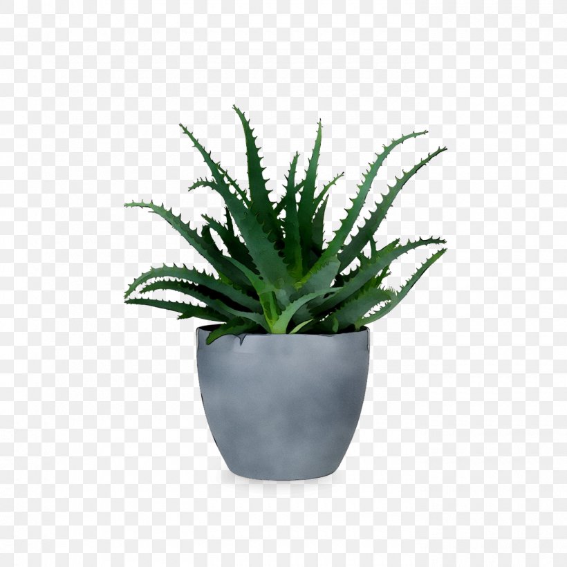 Flowerpot Vase Cachepot Succulent Plant Desk, PNG, 1380x1380px, Flowerpot, Agave, Aloe, Aloes, Anthurium Download Free