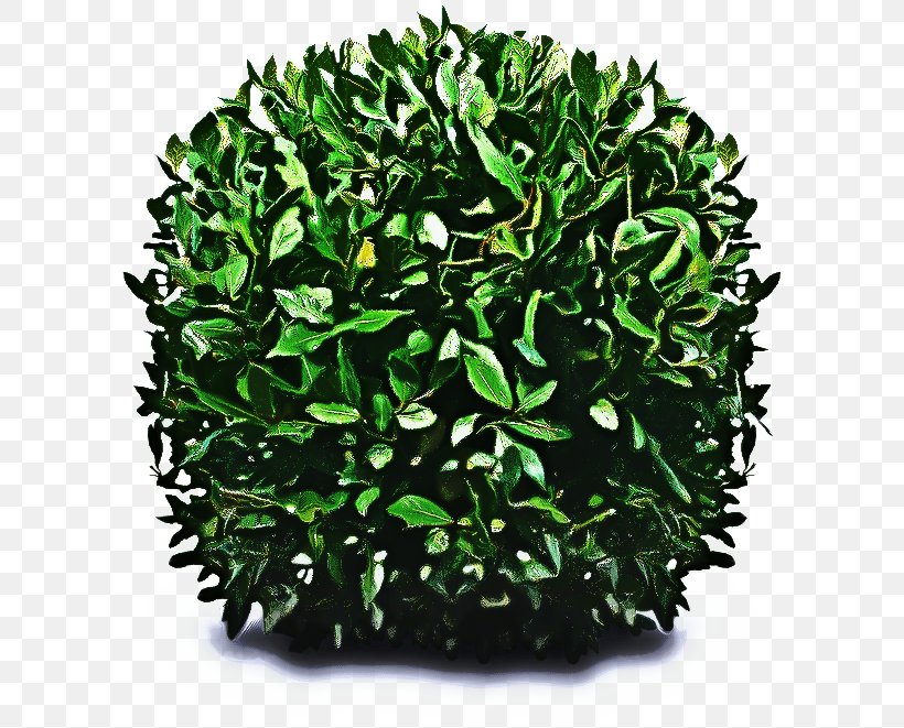 Green Grass Background, PNG, 600x661px, Leaf, Artificial Turf, Flower, Flowerpot, Grass Download Free