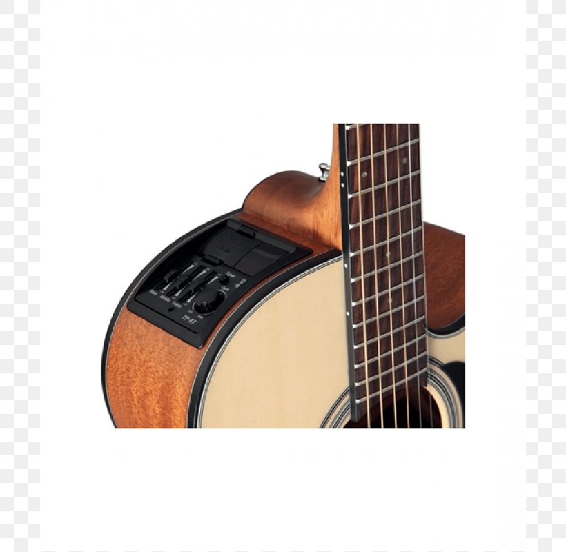Steel-string Acoustic Guitar Acoustic-electric Guitar Takamine Guitars, PNG, 800x800px, Acoustic Guitar, Acoustic Electric Guitar, Acoustic Music, Acousticelectric Guitar, Aria Download Free