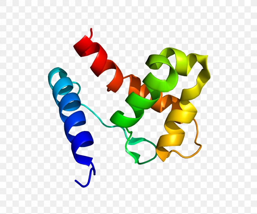 KDM5A Demethylase Protein Gene Histone, PNG, 1200x1000px, Demethylase, Artwork, Chromosome, Enzyme, Food Download Free
