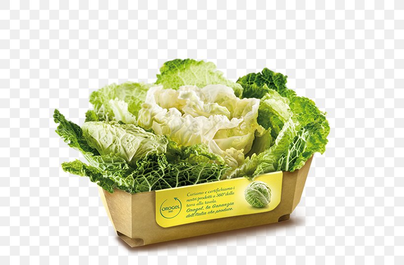 Romaine Lettuce Savoy Cabbage Broccoli Vegetarian Cuisine Spring Greens, PNG, 640x539px, Romaine Lettuce, Brassica Oleracea, Broccoli, Chef, Cooking Download Free