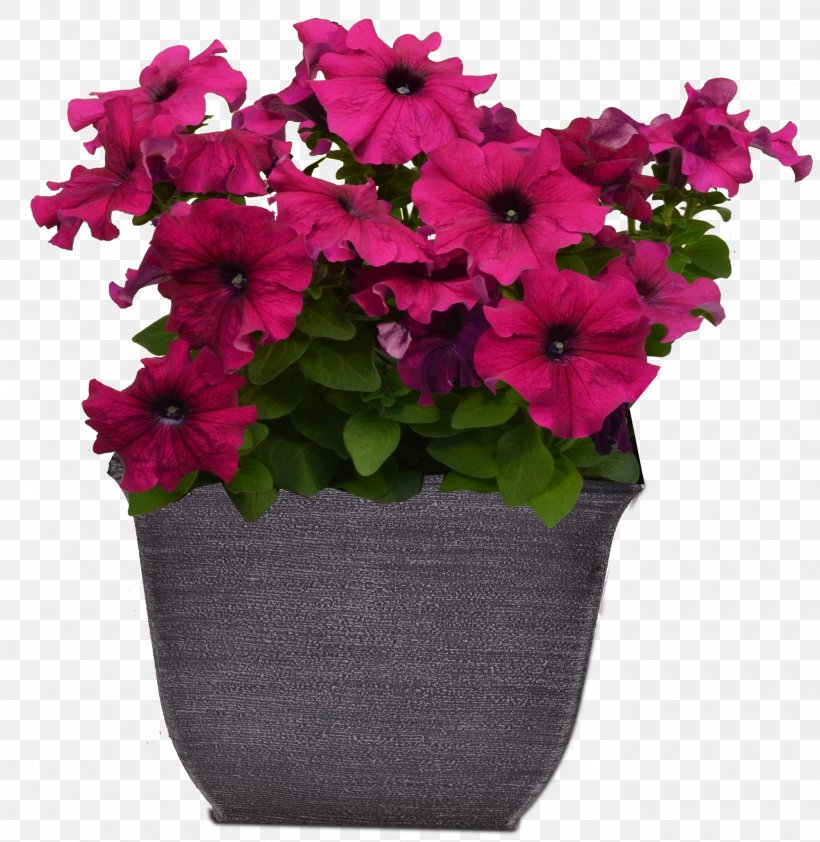 Flower Plant Pink Flowerpot Petunia, PNG, 2700x2775px, Flower, Annual Plant, Flowerpot, Impatiens, Magenta Download Free