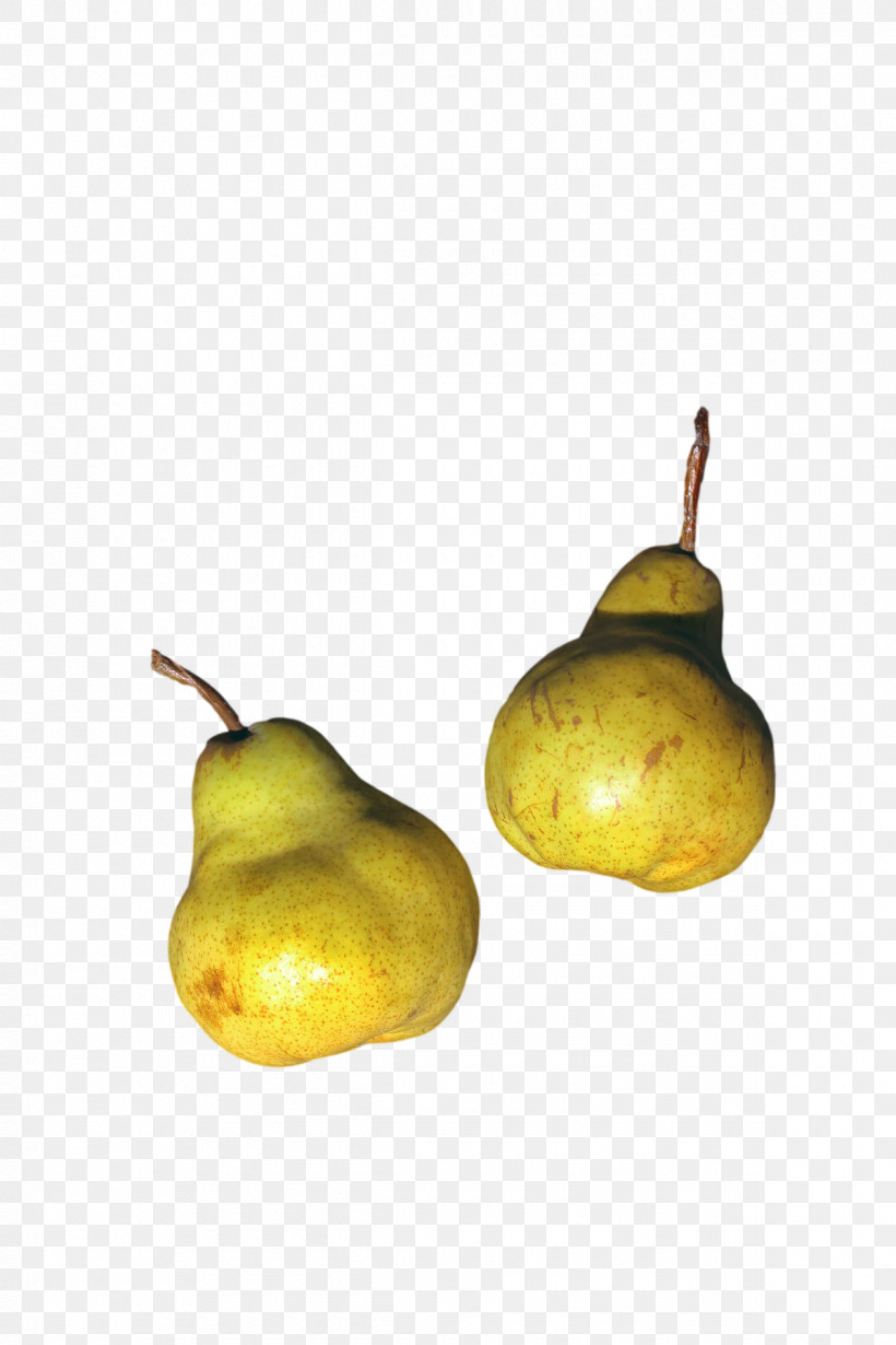 Still Life Photography Pear Still Life Fruit Fahrenheit, PNG, 1200x1800px, Still Life Photography, Chemistry, Fahrenheit, Fruit, New Yorks 3rd Congressional District Download Free