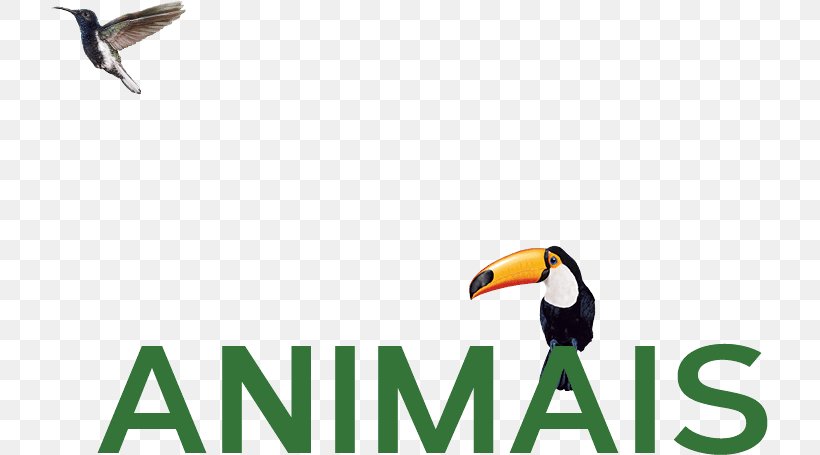 Toucan Logo Advertising Brand Beak, PNG, 717x455px, Toucan, Advertising, Beak, Bird, Brand Download Free