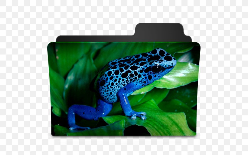 True Frog Poison Dart Frog High-definition Television Desktop Wallpaper, PNG, 512x512px, Frog, Amphibian, Blue Poison Dart Frog, Display Resolution, Electric Blue Download Free