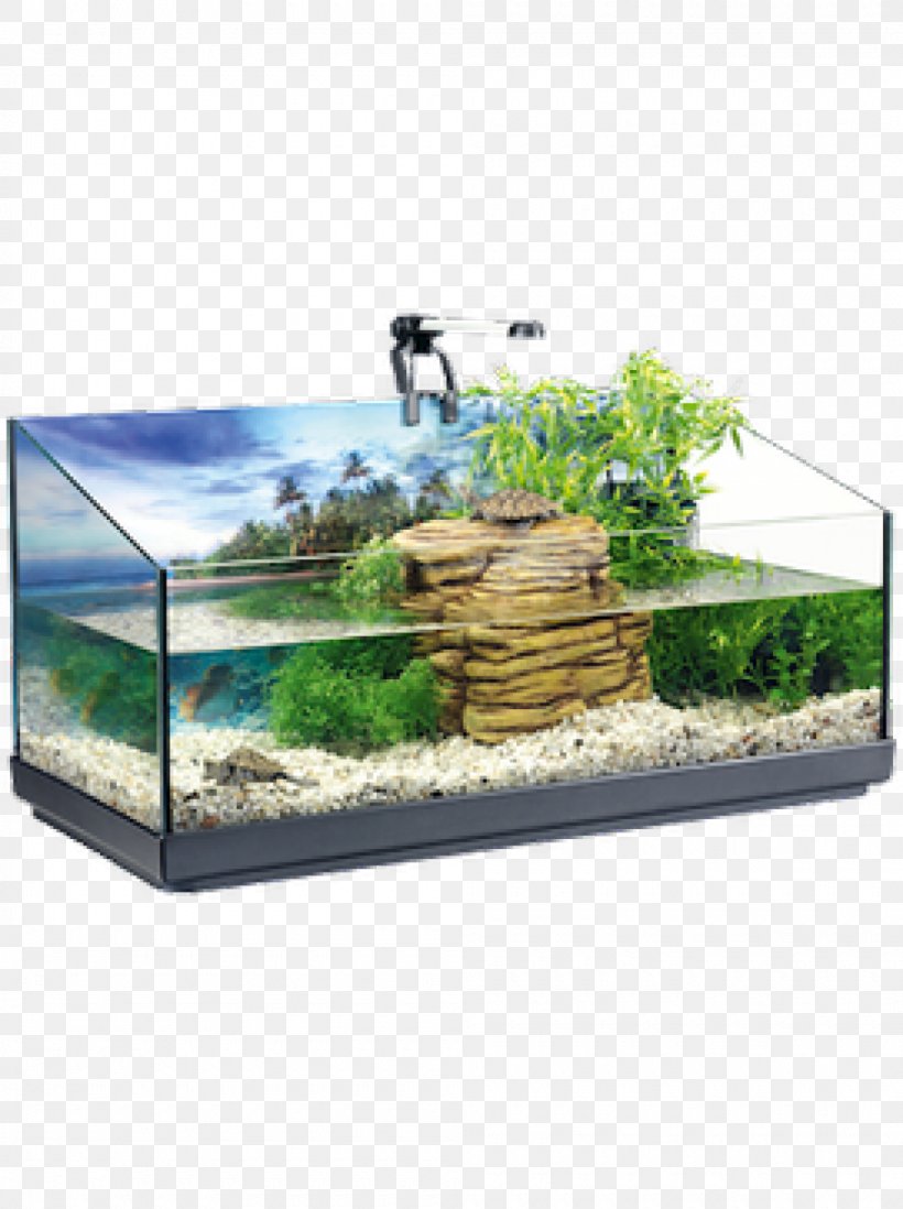 Turtle Reptile Paludarium Akwaterrarium Tetra, PNG, 1000x1340px, Turtle, Akwaterrarium, Amazoncom, Aquarium, Ecosystem Download Free