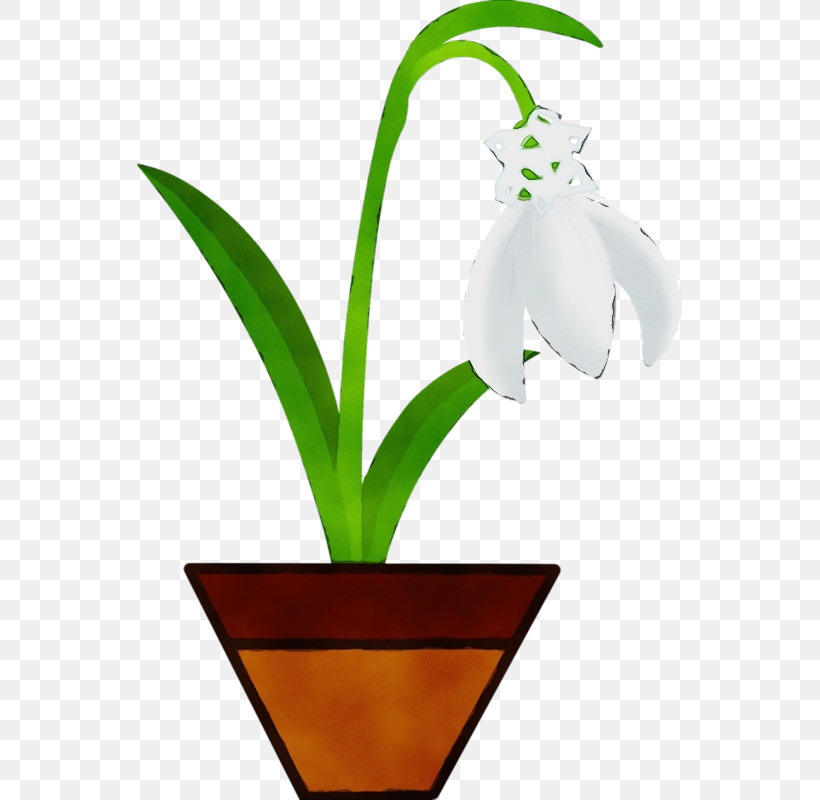 Flowerpot Flower Plant Houseplant Plant Stem, PNG, 547x800px, Watercolor, Amaryllis Family, Flower, Flowerpot, Houseplant Download Free
