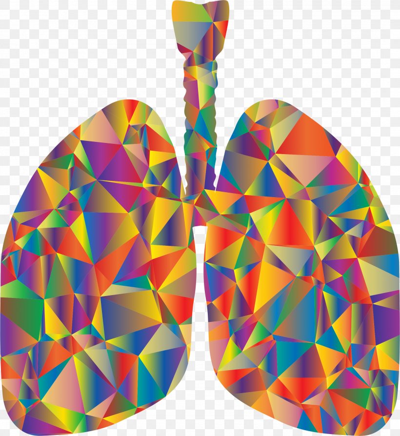 Lung T-shirt Respiratory System Clip Art, PNG, 2120x2312px, Watercolor, Cartoon, Flower, Frame, Heart Download Free