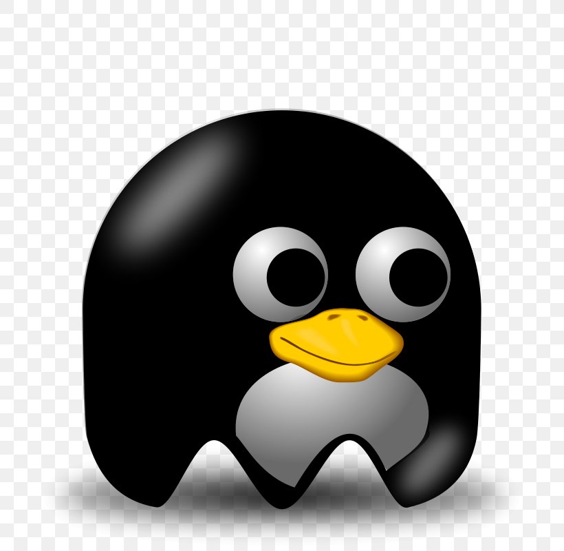 Penguin Tux Racer Tuxedo, PNG, 800x800px, Penguin, Beak, Bird, Fedora, Flightless Bird Download Free