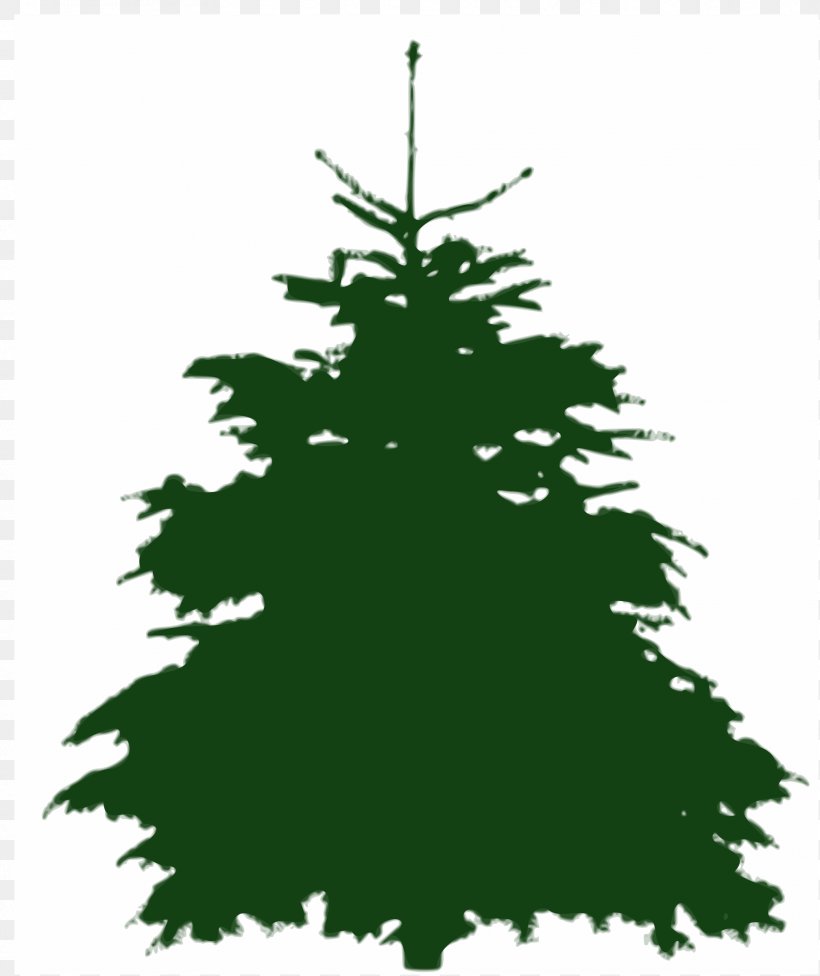 Tree Fir Silhouette, PNG, 2016x2400px, Tree, Barr, Branch, Christmas, Christmas Decoration Download Free