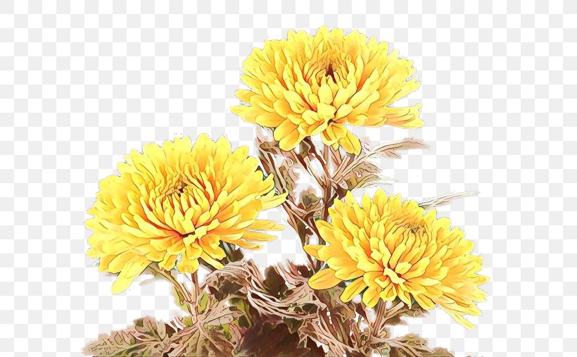 Flowers Background, PNG, 665x507px, Dandelion, Artificial Flower, Chrysanthemum, Cut Flowers, Daisy Family Download Free