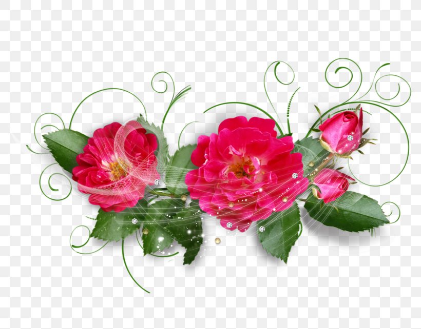 Garden Roses Flower Floral Design, PNG, 800x642px, Garden Roses, Artificial Flower, Beach Rose, Carnation, Cut Flowers Download Free