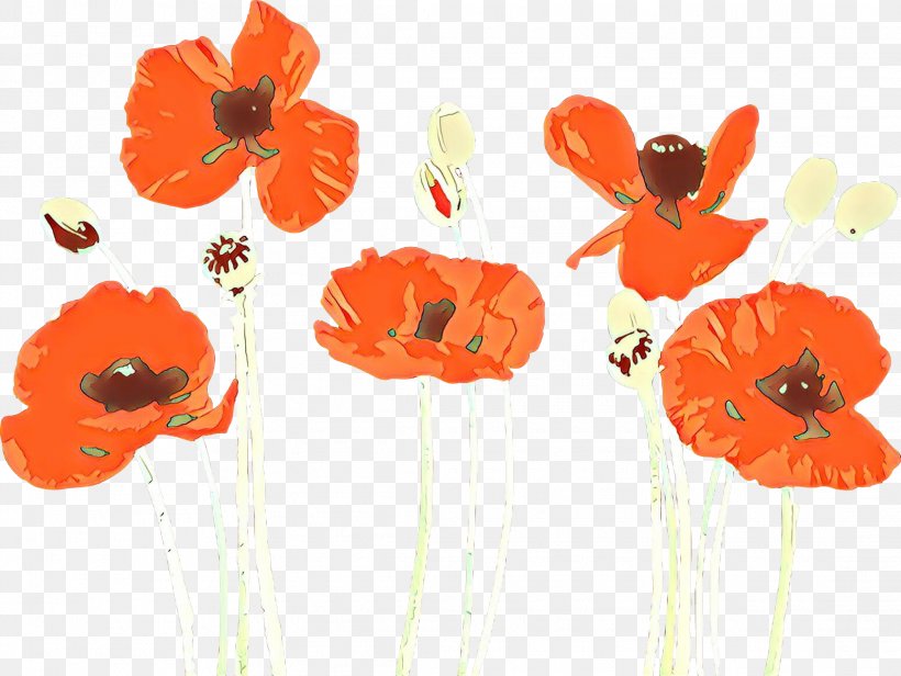Orange, PNG, 2232x1678px, Cartoon, Coquelicot, Corn Poppy, Cut Flowers, Flower Download Free