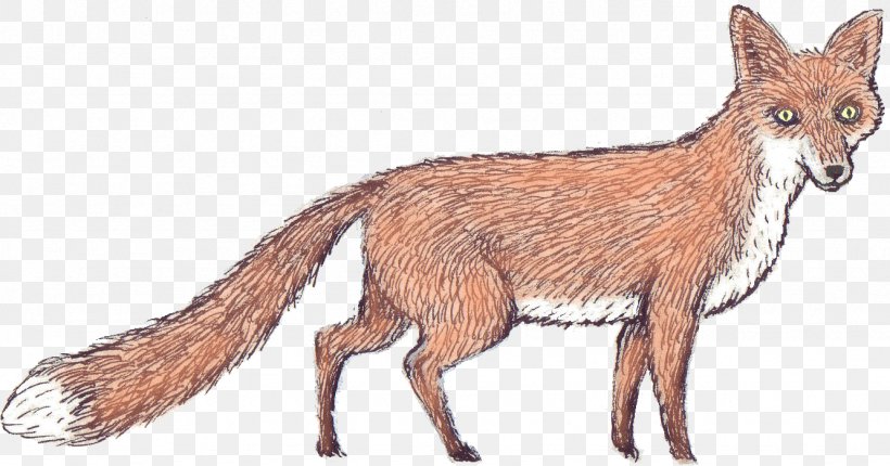 Red Fox Jackal Fur Fauna Vulpini, PNG, 1332x699px, Red Fox, Animal, Carnivoran, Dog Like Mammal, Fauna Download Free