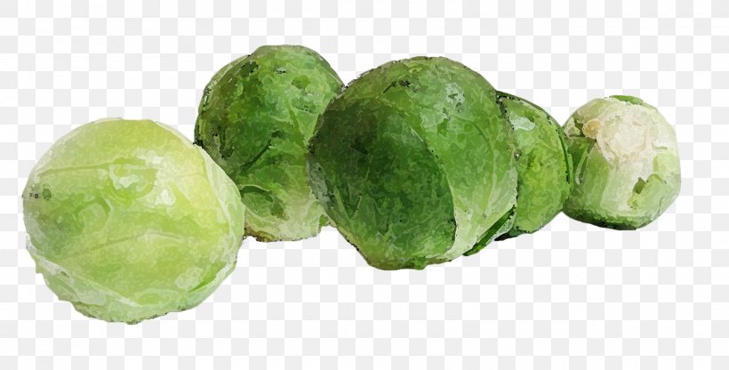Brussels Sprout Capitata Group Collard Greens Vegetable Food, PNG, 1600x812px, Brussels Sprout, Brassica Oleracea, Cabbage, Capitata Group, Celery Download Free